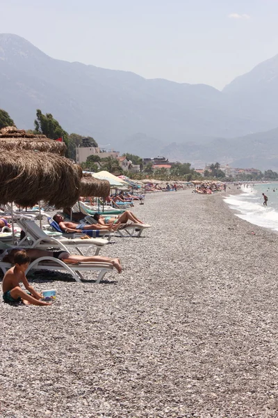 Sunbeds and umbrellas — Stock Photo, Image