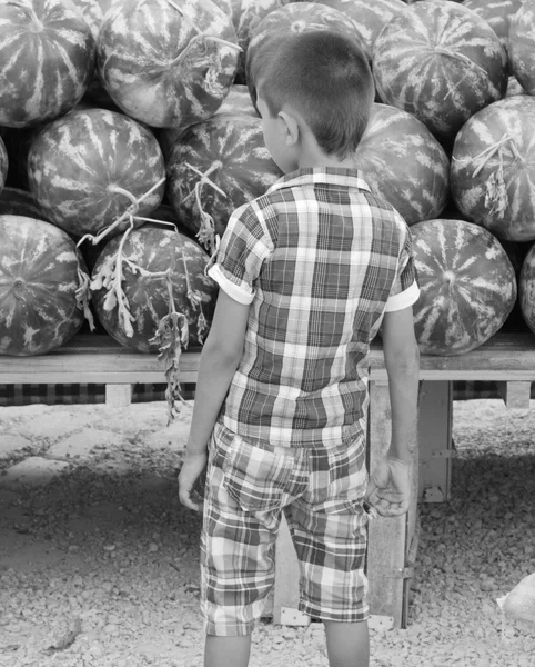 Färskvarumarknaden producera av vattenmelon — Stockfoto