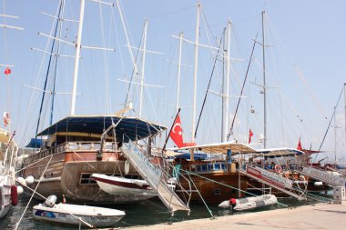 Tekne Turu