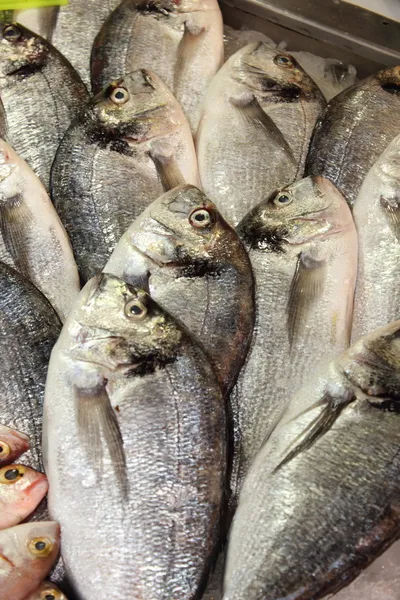 Fischmarkt — Stockfoto