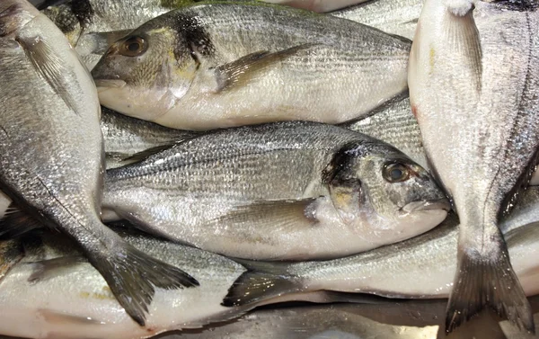 Fish market — Stock Photo, Image