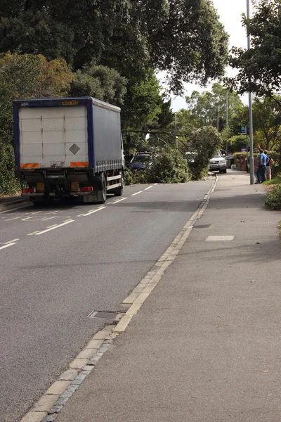 A fallen tree across the road during high winds — Stock Photo, Image