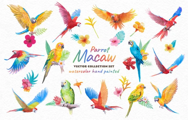 Collection Beautiful Bird Parrot Macaw Paradise Flower Leaf Hand Painted — ストックベクタ