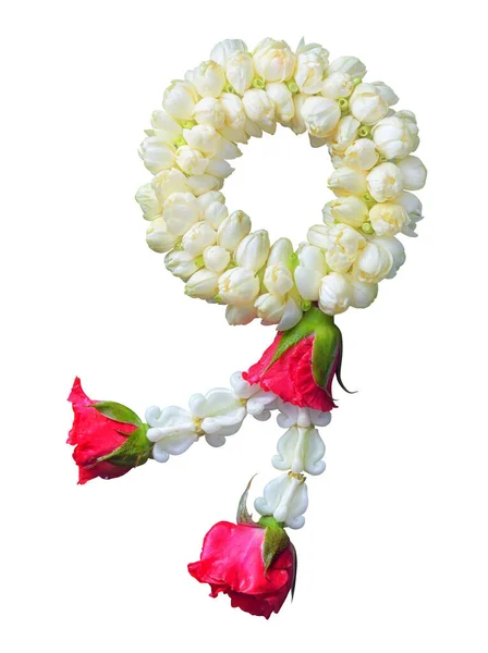 Jasmine Garland Symbol Mothers Day Thailand White Background Clipping Path — Fotografia de Stock