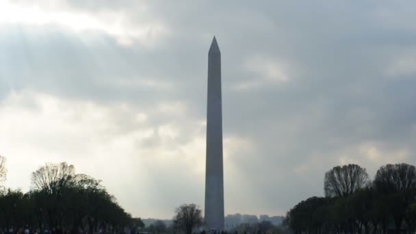 Monumento di Washington — Video Stock