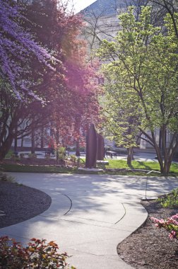 düzgün vücutlu ve renkli plaza