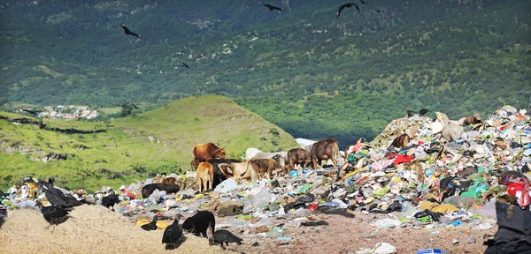 Südamerikanische Müllhalde — Stockfoto