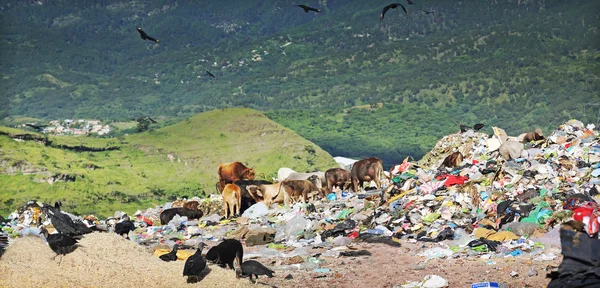 Dump sudamericano — Foto Stock