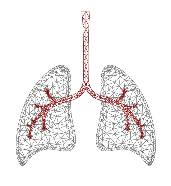 Gráfico pulmonar —  Vetores de Stock