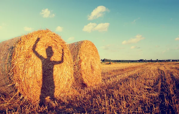 Haystacks pe teren — Fotografie, imagine de stoc