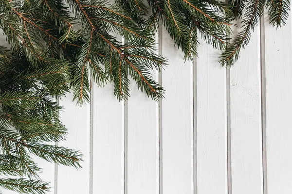 Beyaz ahşap arka planda ladin dalları.