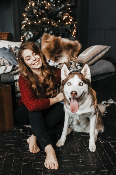 Bir kadın Noel ağacının yanında köpeğini okşuyor..