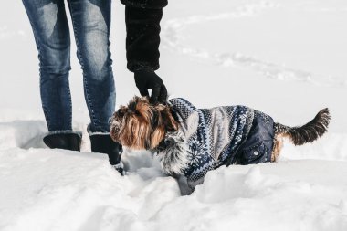 Kadın köpeğini okşuyor, onlar karda dururken..