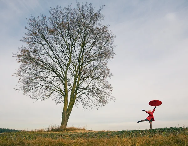 Kvinna som står nära trädet med paraply — Stockfoto