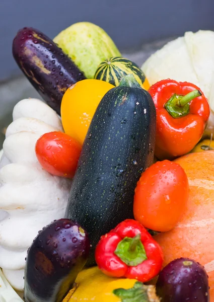 Many ripe vegetables — Stock Photo, Image