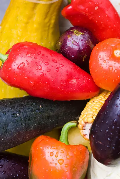 Many ripe vegetables — Stock Photo, Image