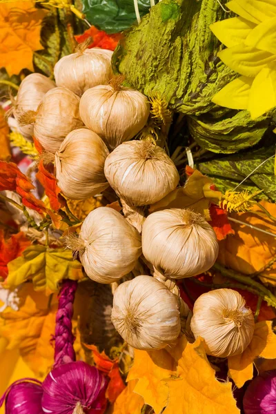Many mature onions — Stock Photo, Image