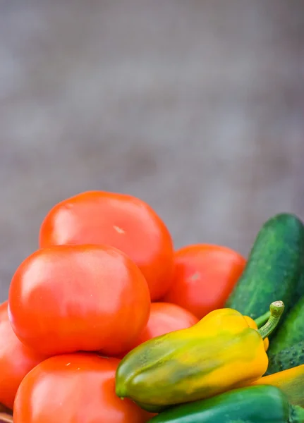 Many ripe vegetables — Stock Photo, Image