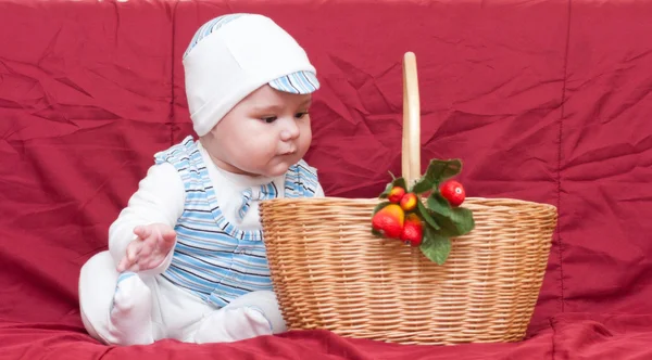 Boy looking into the basket — Stock Photo, Image