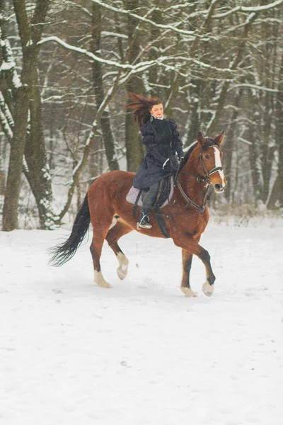 Hermosa mujer y caballo en invierno — Foto de Stock