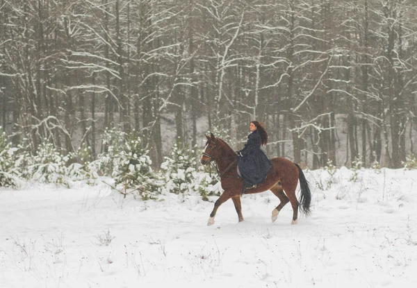 Hermosa mujer y caballo en invierno — Foto de Stock