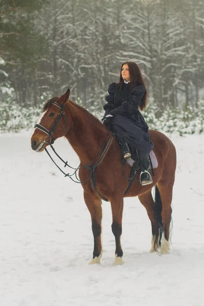 Красивая женщина и лошадь зимой — стоковое фото