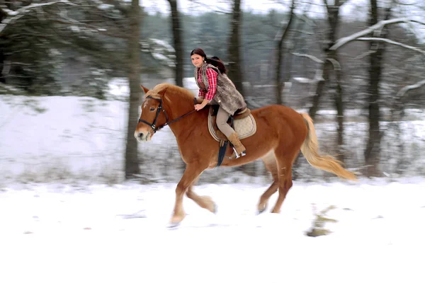 Mujer montando un caballo la nieve — Foto de Stock