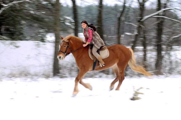 Mulher montando um cavalo a neve — Fotografia de Stock