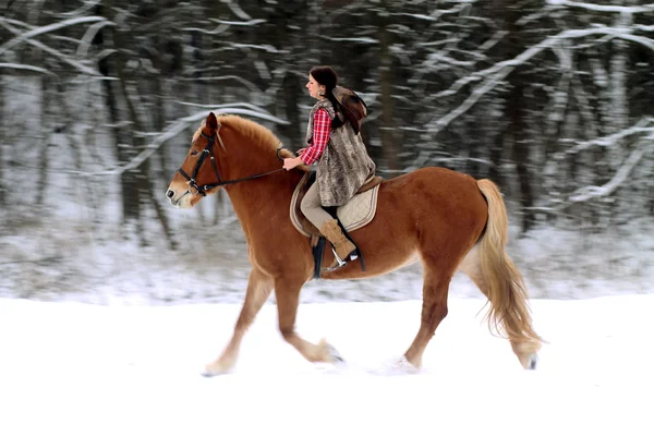 Женщина верхом на лошади по снегу — стоковое фото