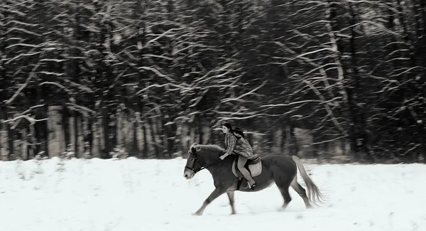 Donna in sella a un cavallo la neve — Foto Stock