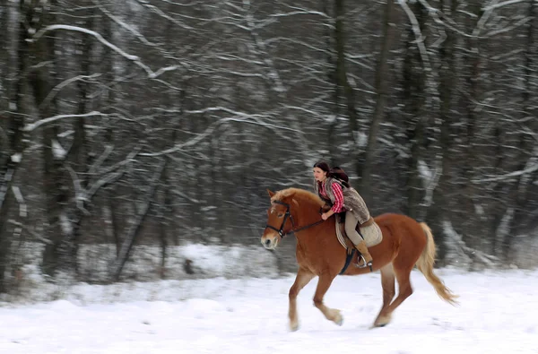 Mujer montando un caballo la nieve — Foto de Stock