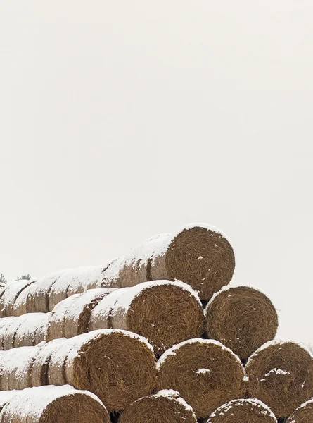 Straw Fodder Bales in Winter — Stock Photo, Image