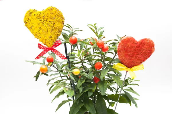 Vaso de flores e corações — Fotografia de Stock