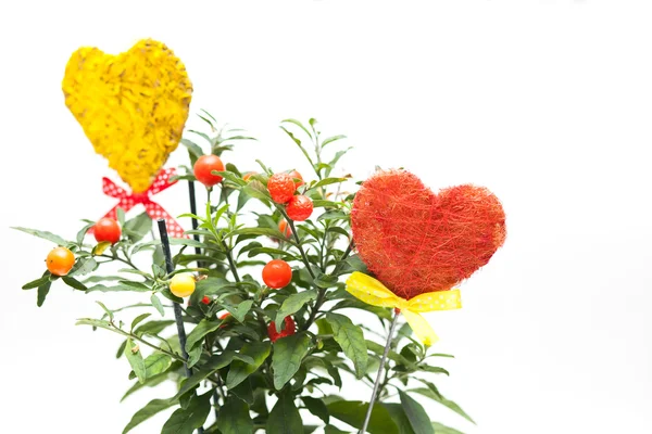 Flower pot and hearts — Stock Photo, Image