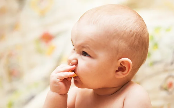 Little child eating biscuit — Stock Photo, Image