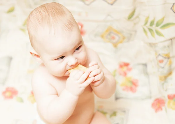 Criança comendo biscoito — Fotografia de Stock