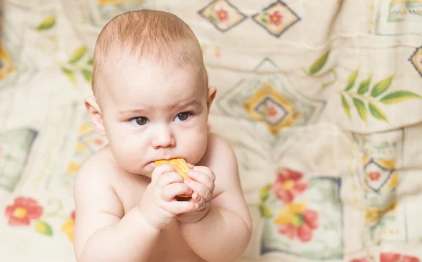 Little child eating biscuit — Stock Photo, Image