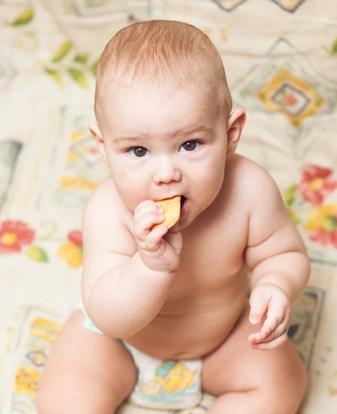 Bambino che mangia biscotti — Foto Stock