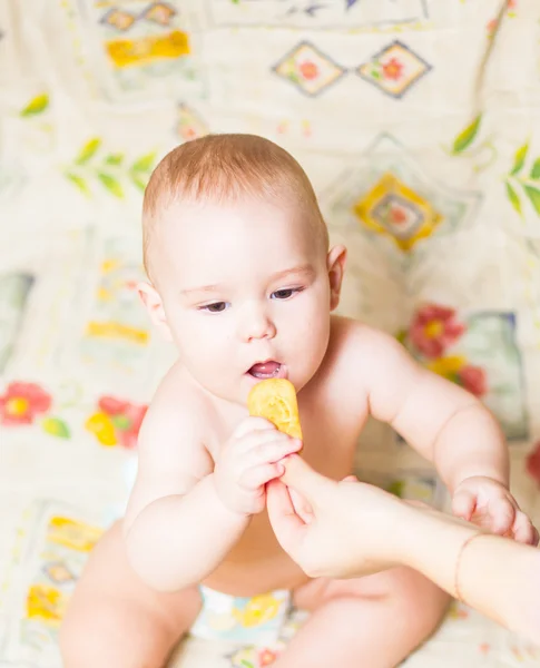 Pequeño niño comiendo galletas — Foto de Stock