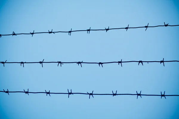 Barbed wire — Stock Photo, Image