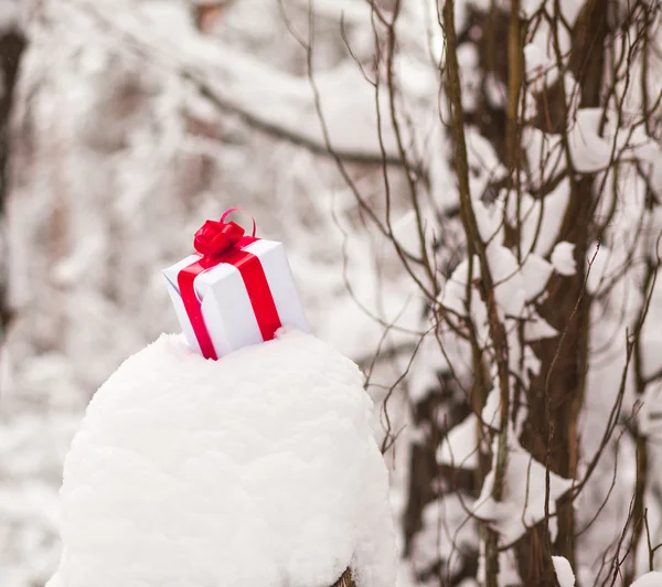 Présent dans la décoration de neige — Photo