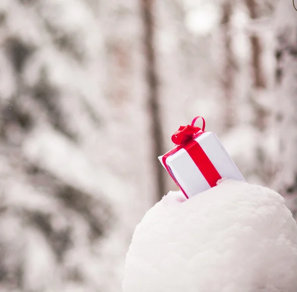 Presente en la decoración de nieve — Stockfoto