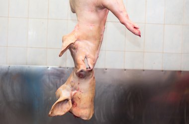 Et fabrikası