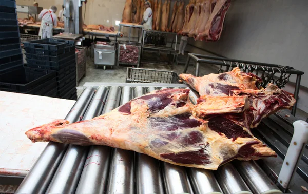 肉类工厂 — 图库照片