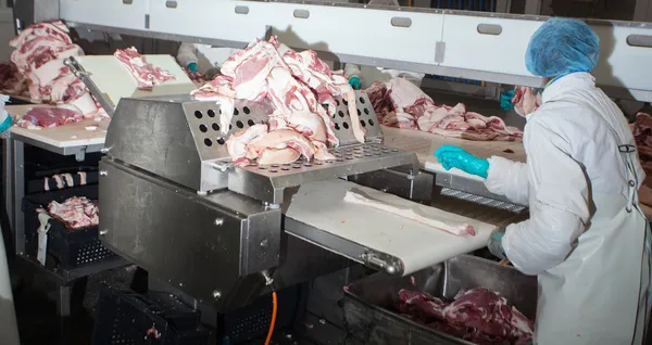 Fábrica de carne — Fotografia de Stock