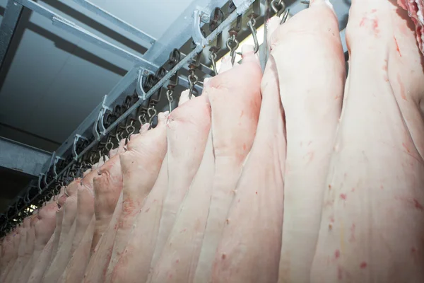 Meat factory — Stock Photo, Image