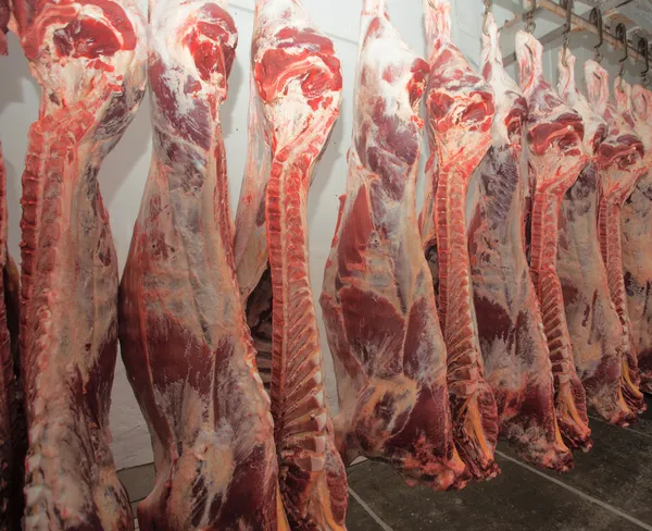 Meat factory — Stock Photo, Image