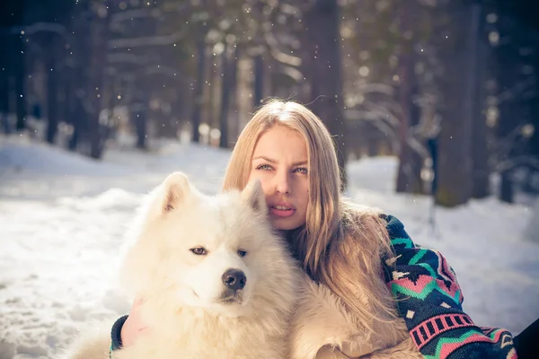 Girl with samoed dog — Stock Photo, Image