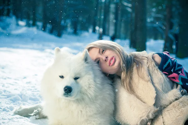 Girl with samoed dog — Zdjęcie stockowe