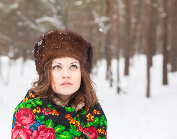 Beautiful girl in a fur hat — Stock Photo, Image